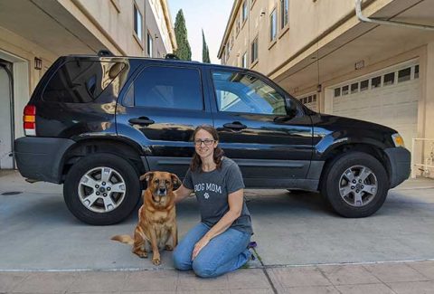 Berlin was a pro using a dog ramp for this car