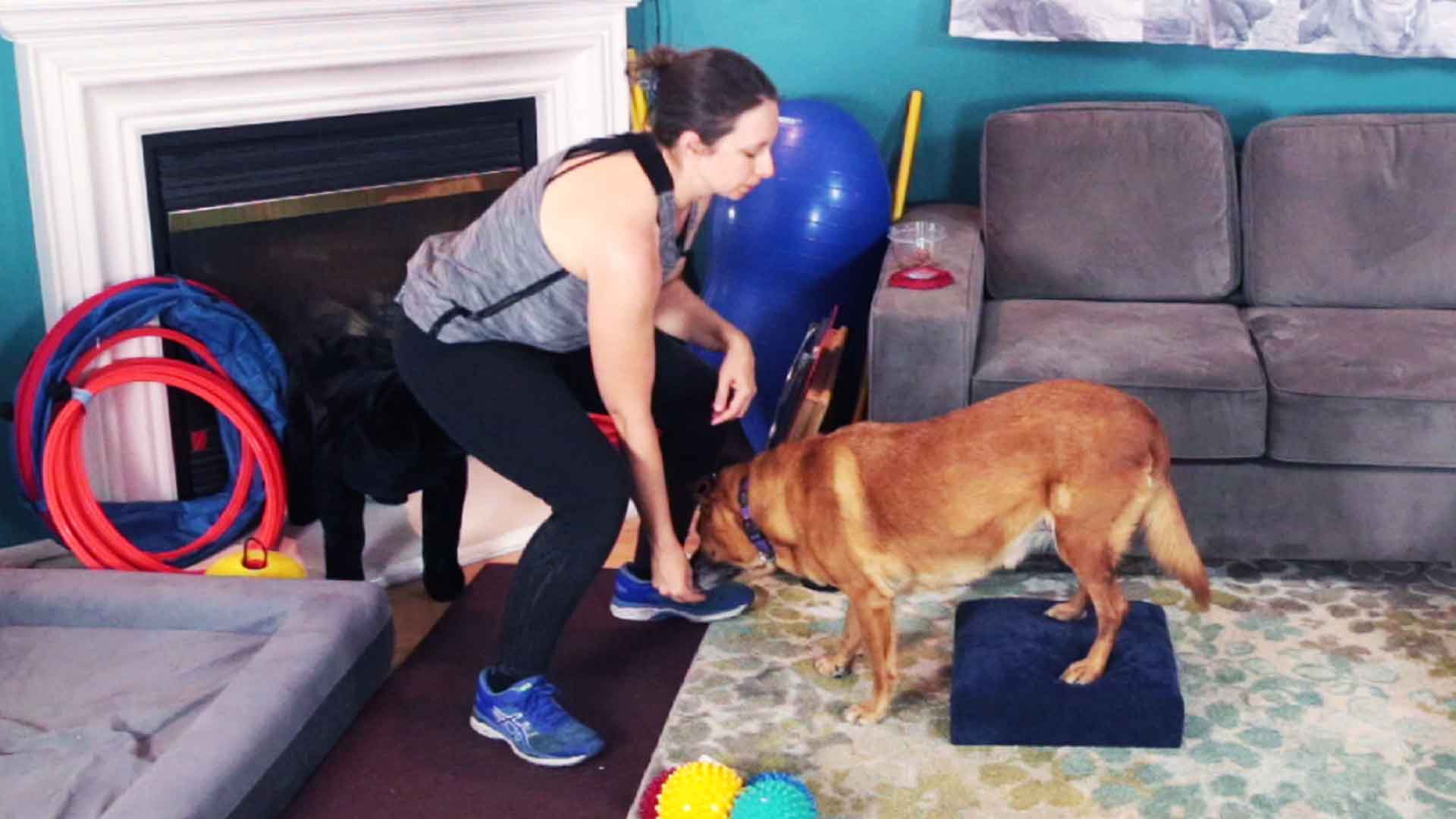 Strength Training Exercise With Your Dog