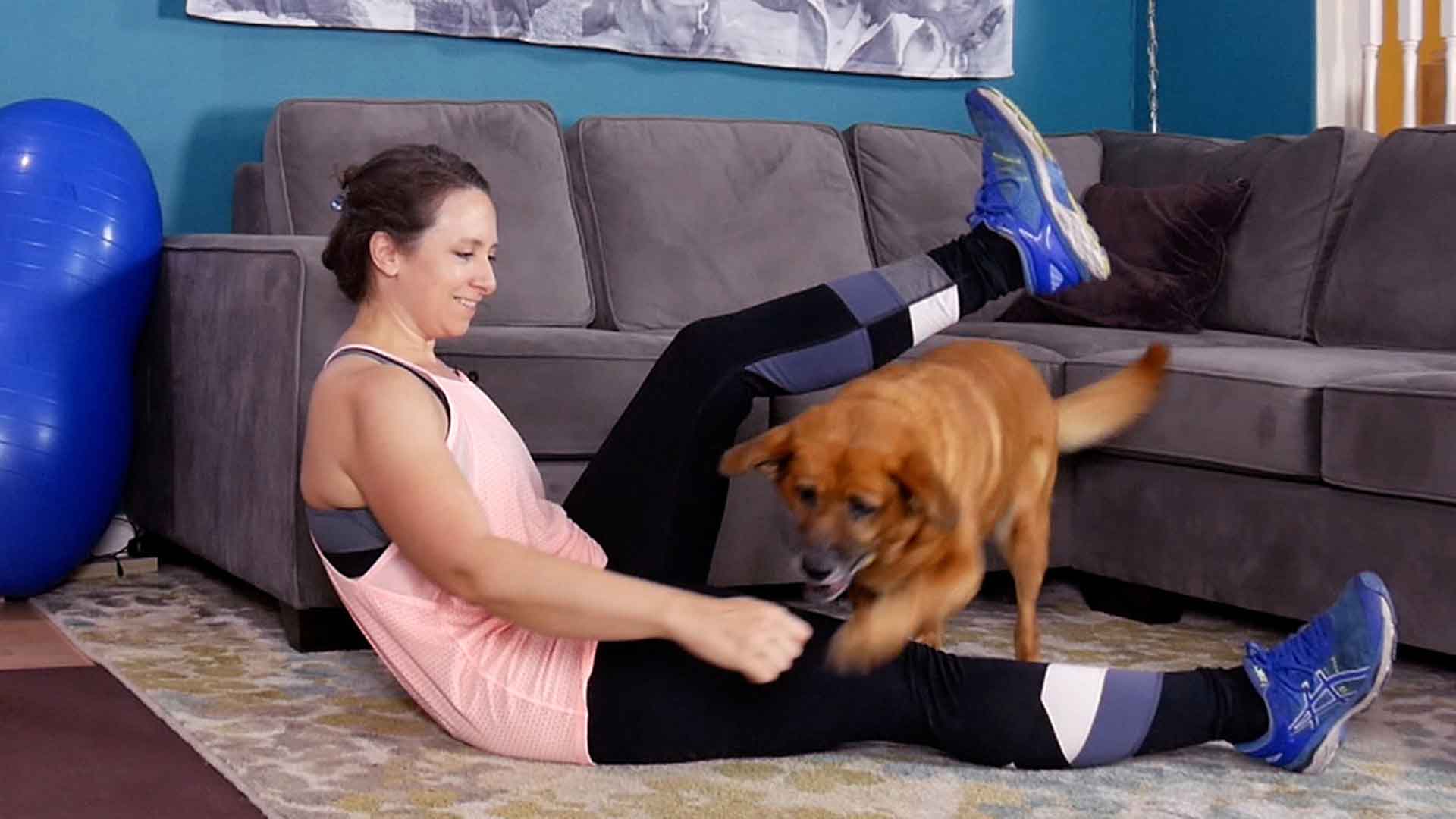 Fun Exercise With Your Dog