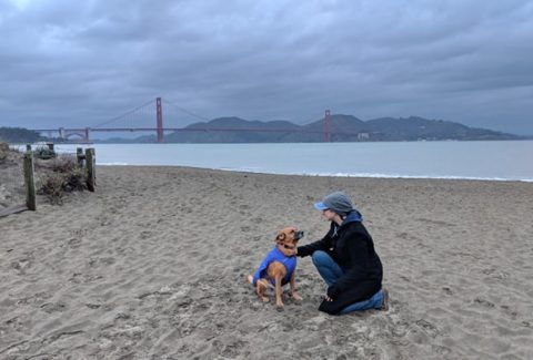 Crissy Field