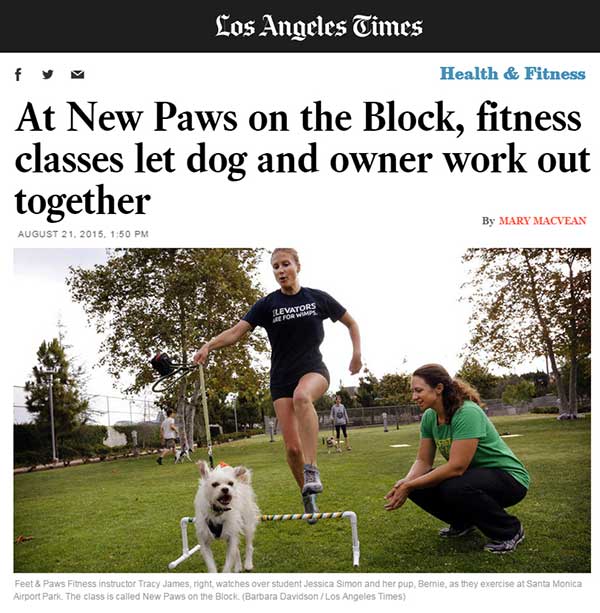 Feet & Paws in the L.A. Times