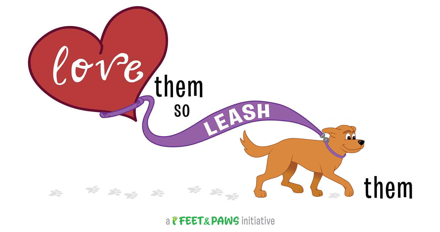 Reasons To Leash Your Dog