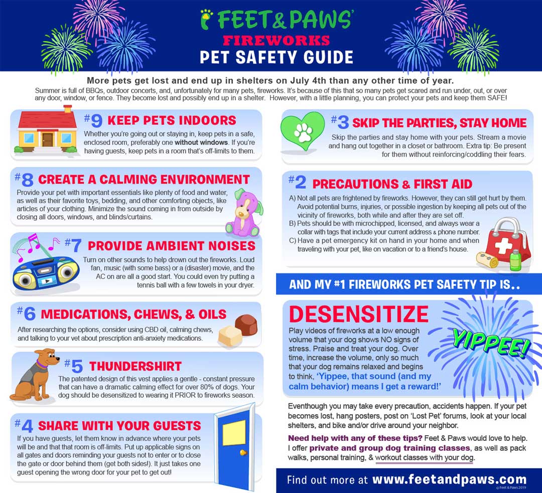 Top 9 Tips Fireworks Pet Safety Guide