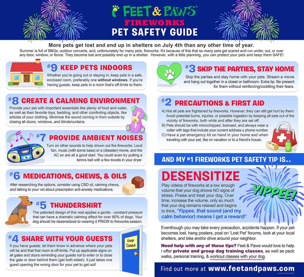 Pet Safety Guide Fireworks Edition