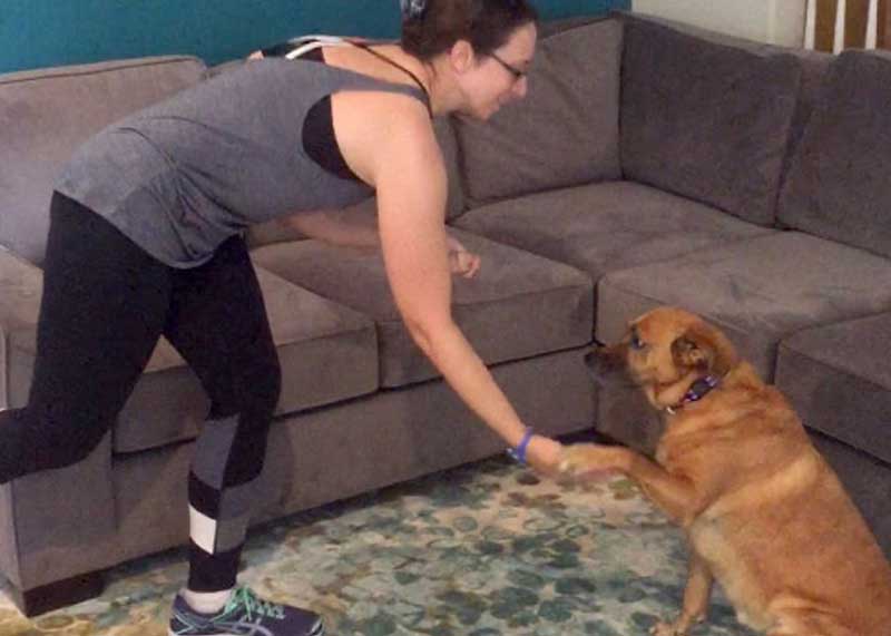 Workout With Your Dog - Feet and Paws FitnessWorkout With Your Dog - Strengthen Senior Dog