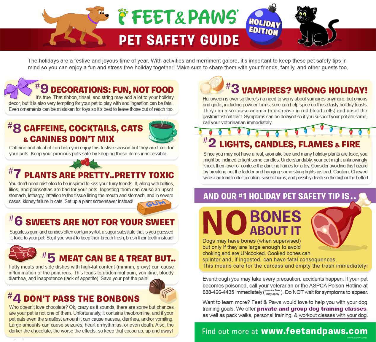 holiday pet safety guide