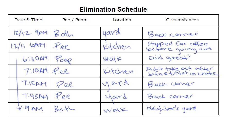 Potty Training Elimination Schedule