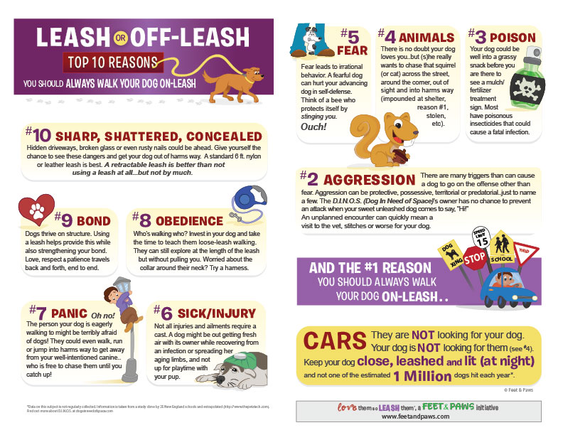 Top 10 Reasons To Keep Your Dog On Leash