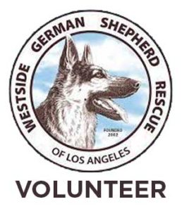 Westside German Shepard Rescue Volunteer Tracy James