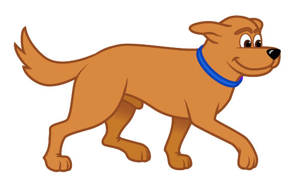 Why You Should Neuter Your Male Dog