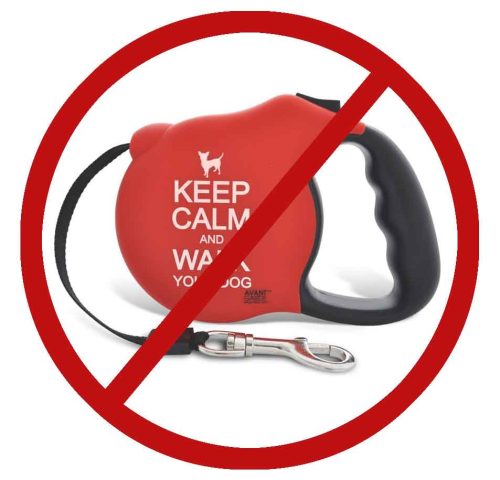 Most dog trainers hate retractable leashes, including myself.