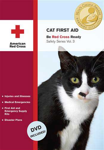 Cat First Aid and Pet Emergency Preparedness